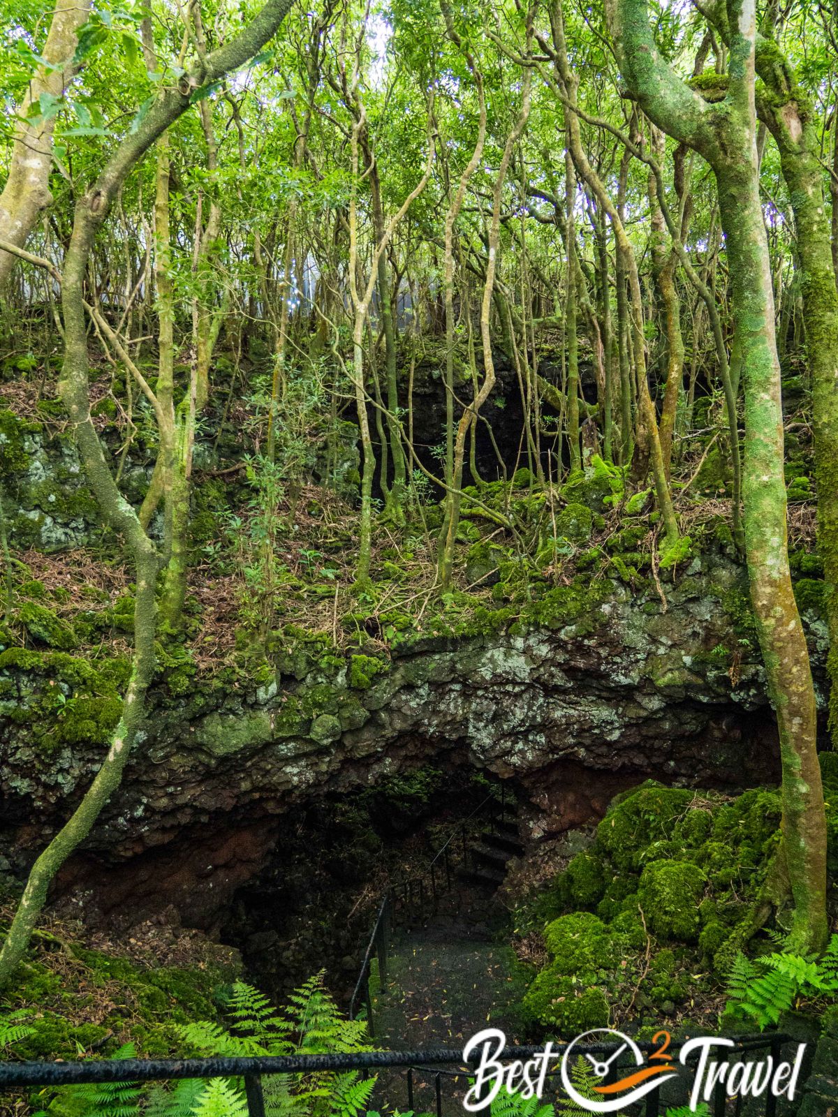 gruta-das-torres-on-pico-island-the-longest-lava-tube-of-the-azores